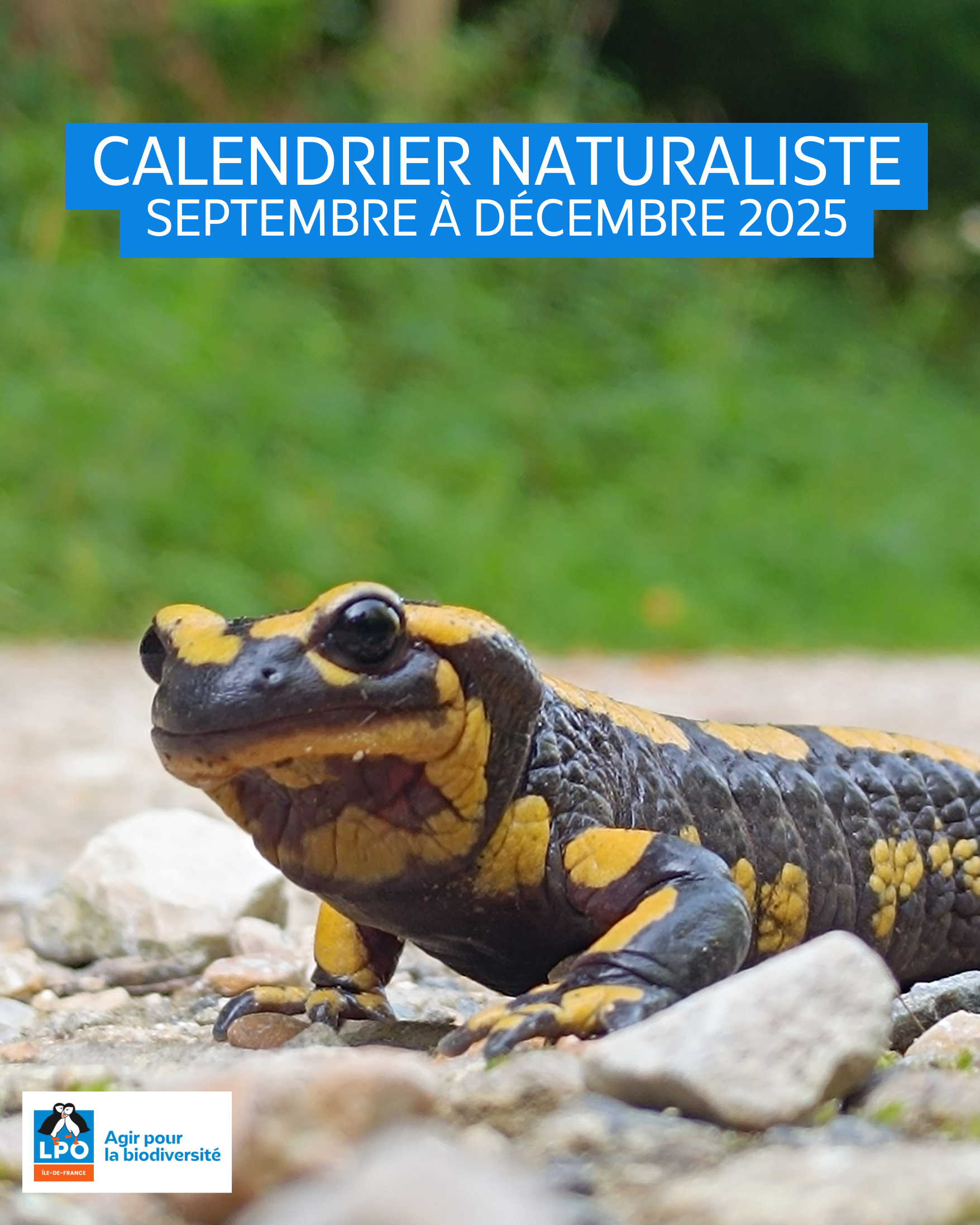 Calendrier naturaliste de septembre à décembre 2025